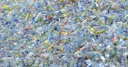 Hvordan opnår vi en bæredygtig plastikkultur?