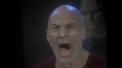 Captain Jean Luc Picard shouting at the Cardassian interrogation that there are in fact four lights