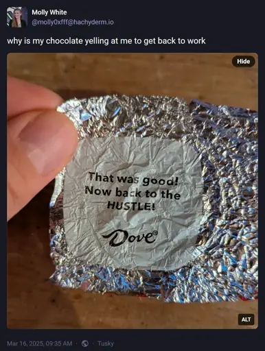 @molly0xfff@hachyderm.io: "why is my chocolate yelling at me to get back to work". Attached photo of an empty chocolate wrapper that has this message printed on the inside: "That was good! Now back to the HUSTLE! Dove®".