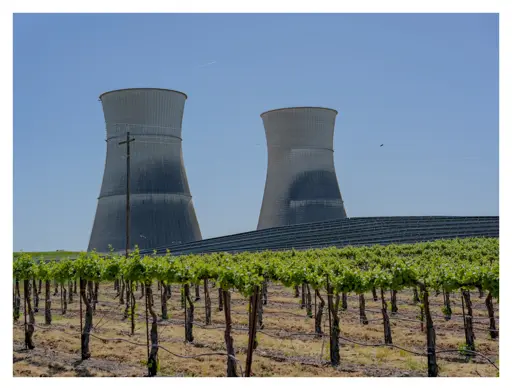 Two large cooling towers from a decommissioned nuclear plant, there are some solar panels up near the bottom of the towers and a vineyard growing around.