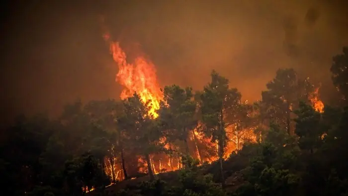 International undersøgelse slår fast: Klimaforandringer spiller overvældende rolle i juli-hedebølger