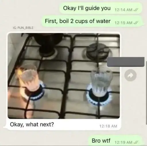 WhatsApp message chain. Sender: "Okay I'll guide you. First boil two cups of water." The recipient sends back an image of two glasses of water on two litres gas stoves with "Okay, what next?" Sender replies: "Bro wtf".