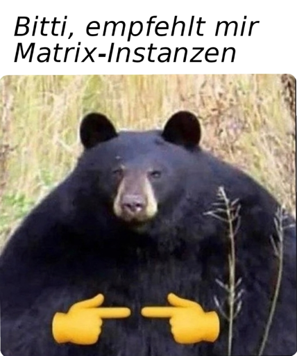 Bitti empfehlt mir Matrix-Instanzen
(Bild von Schwarzbär mit 👉👈 Emoji)