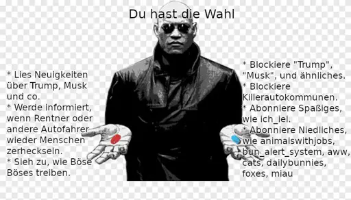 Matrix blaue/rote Pille Meme. Oben: "Du hast die Wahl" Links: "* Lies Neuigkeiten über Trump, Musk und co. * Werde informiert, wenn Rentner oder andere Autofahrer wieder Menschen zerheckseln. * Sieh zu, wie Böse Böses treiben." Rechts: "* Blockiere "Trump", "Musk", und ähnliches. * Blockiere Killerautokommunen. * Abonniere Spaßiges, wie ich_iel. * Abonniere Niedliches, wie animalswithjobs, bun_alert_system, aww, cats, dailybunnies, foxes, miau"