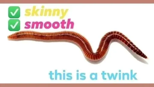 smooth? check. Skinny? check. This is a twink. (it's a worm)