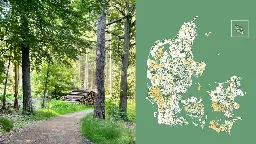 Se kortet: Her kan Danmarks nye skove ligge