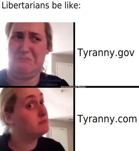 title text "Libertarians be like:" above 2-panel "Kombucha Girl" meme format, disgusted face next to "tyranny.gov", reconsidering face next to "tyranny.com"