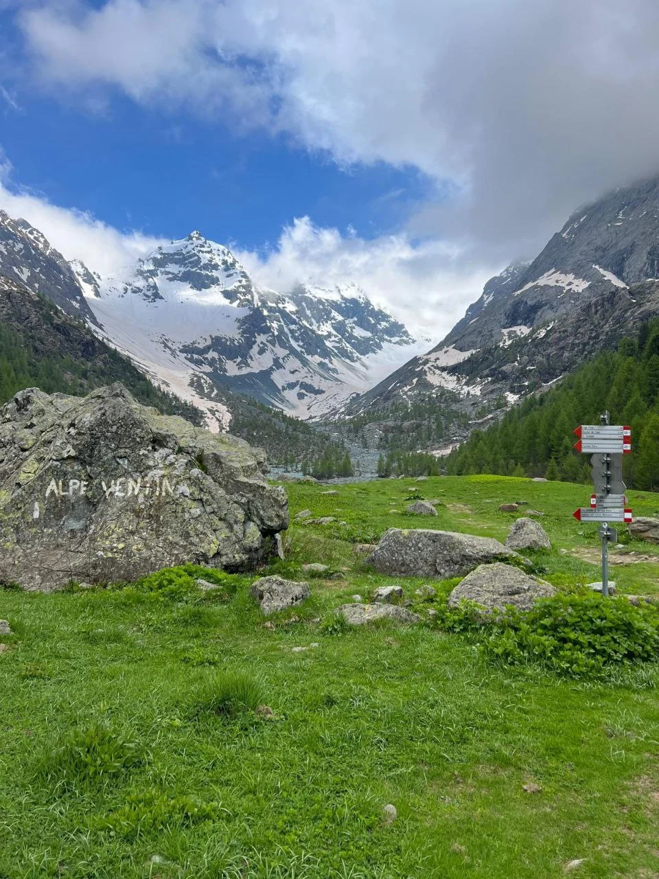 green grass field, in the background rocky mountians, a glacier, clouds all around