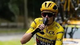 Vingegaard vinder Tour de France