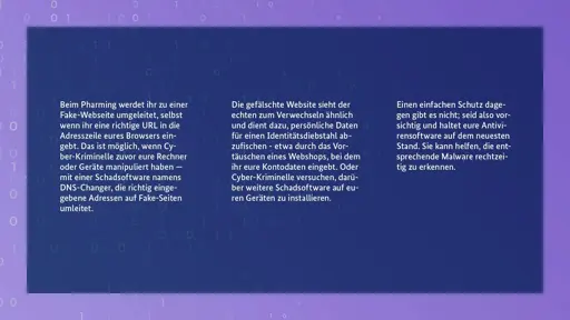 Beim Pharming werdet ihr zu einer Fake-Webseite umgeleitet, selbst wenn ihr eine richtige URL in die Adresszeile eures Browser eingebt. Das ist möglich, wenn Cyber-Kriminelle zuvor eure Rechner oder Geräte manipuliert haben - mit einer Schaftsoftware namens DNS-Changer, die richtig eingegebene Adressen auf Fake-Seiten umleitet.

Die gefälschte Website sieht der echten zum Verwechseln ähnlich und dient dazu, persönliche Daten für einen Identitätsdiebstahl abzufischen - etwa durch das Vortäuschen eines Webshops, bei dem ihr eure Kontodaten eingebt. Oder Cyberkriminelle versuchen, darüber weitere Schadsoftware auf euren Geräten zu installieren.

Einen einfachen Schutz dagegen gibt es nicht, seid also vorsichtig und haltet eure Antivirensoftware auf dem neuesten Stand. Sie kann helfen, die entsprechende Malware rechtzeitig zu erkennen.