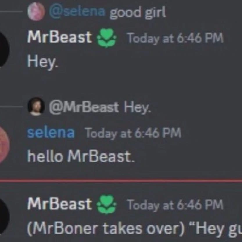 Discord text chat with two accounts talking to eachother. One is named MrBeast and is very likely is a copycat.

The text reads as follows:
MrBeast says "Hey."
selena says "hello MrBeast."
MrBeast says "(MrBoner takes over) Hey gu ..."

The picture is cropped and cuts of the remainder of what the MrBeast account says.